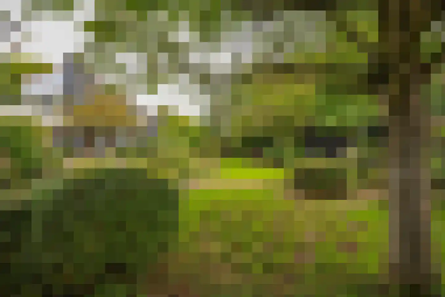 Rietganslaan 5 Almere thumbnail 47