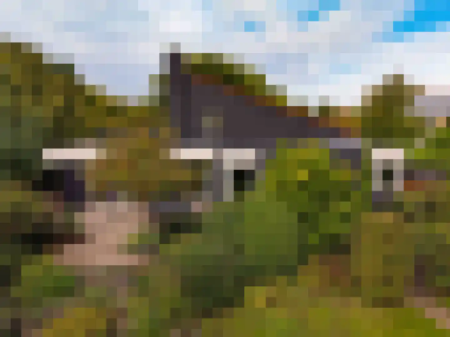 Rietganslaan 5 Almere thumbnail 5