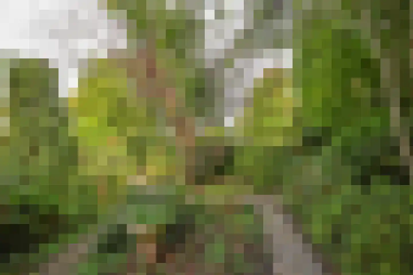 Rietganslaan 5 Almere thumbnail 52