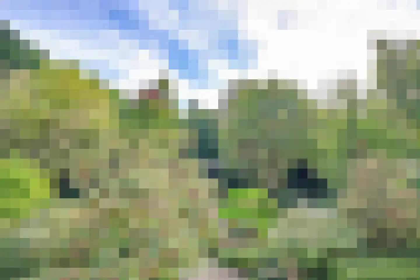 Rietganslaan 5 Almere thumbnail 54