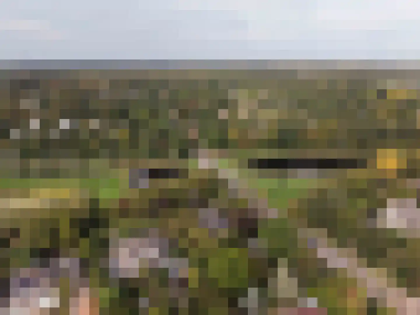 Rietganslaan 5 Almere thumbnail 62