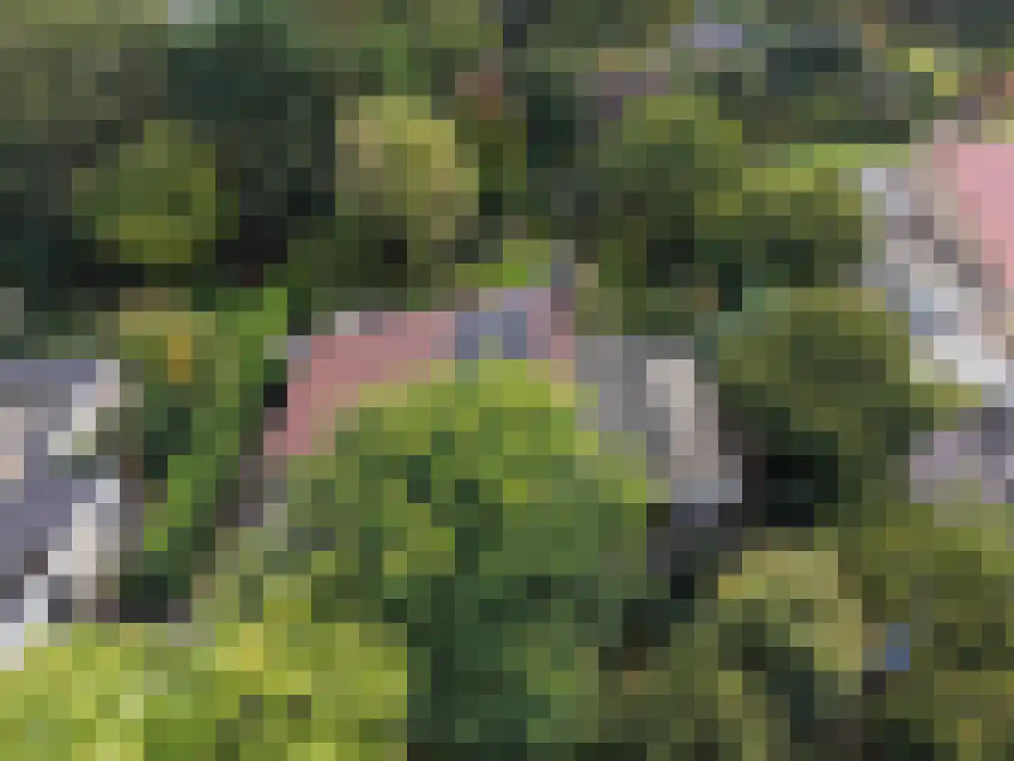 Rietganslaan 5 Almere thumbnail 63
