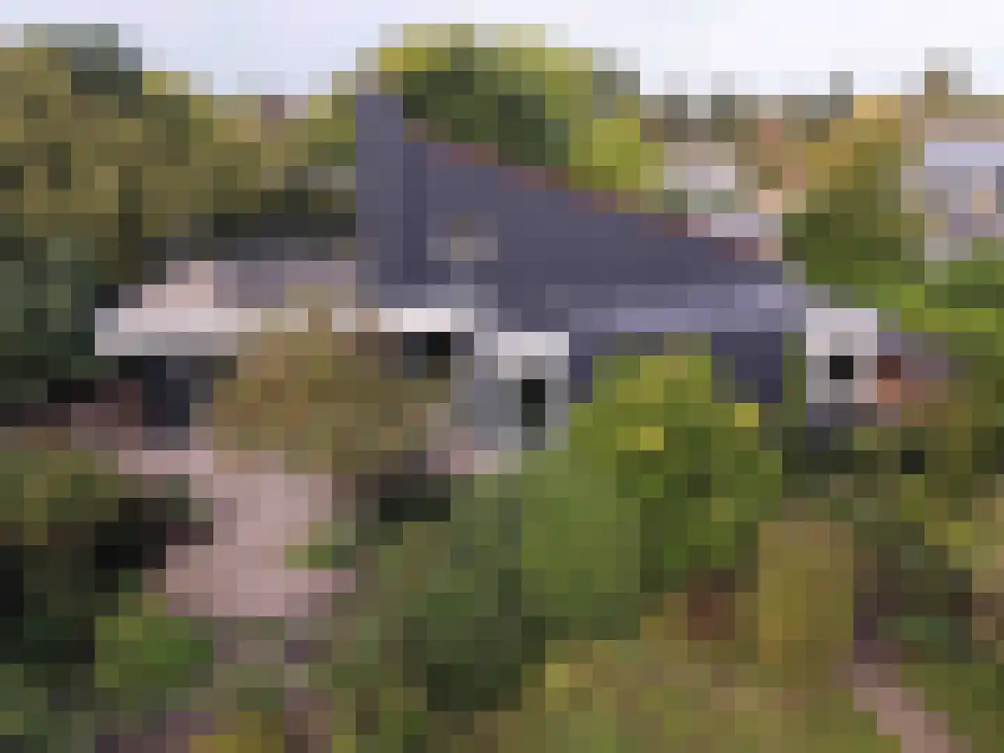Rietganslaan 5 Almere thumbnail 65
