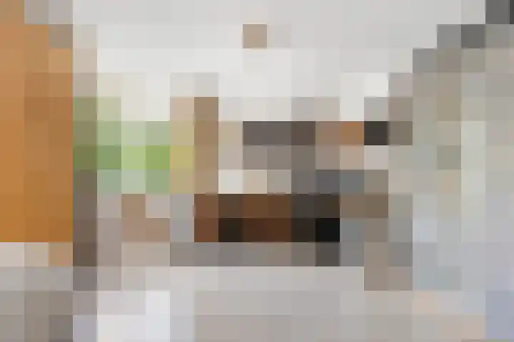 Rietganslaan 9 Almere thumbnail 19