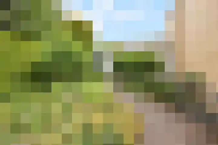 Rietganslaan 9 Almere thumbnail 31