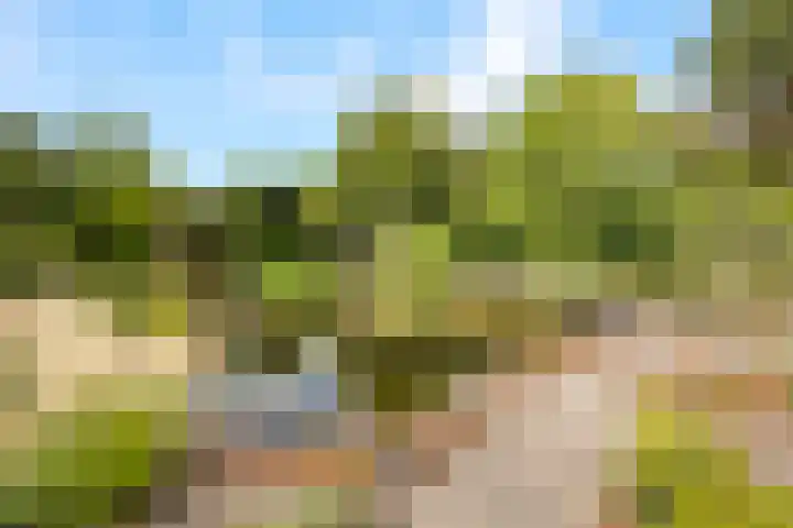 Rietganslaan 9 Almere thumbnail 32