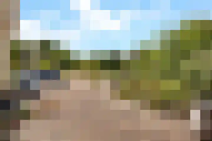 Rietganslaan 9 Almere thumbnail 37