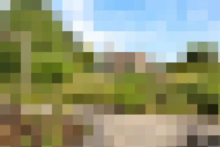 Rietganslaan 9 Almere thumbnail 38