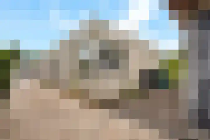 Rietganslaan 9 Almere thumbnail 41