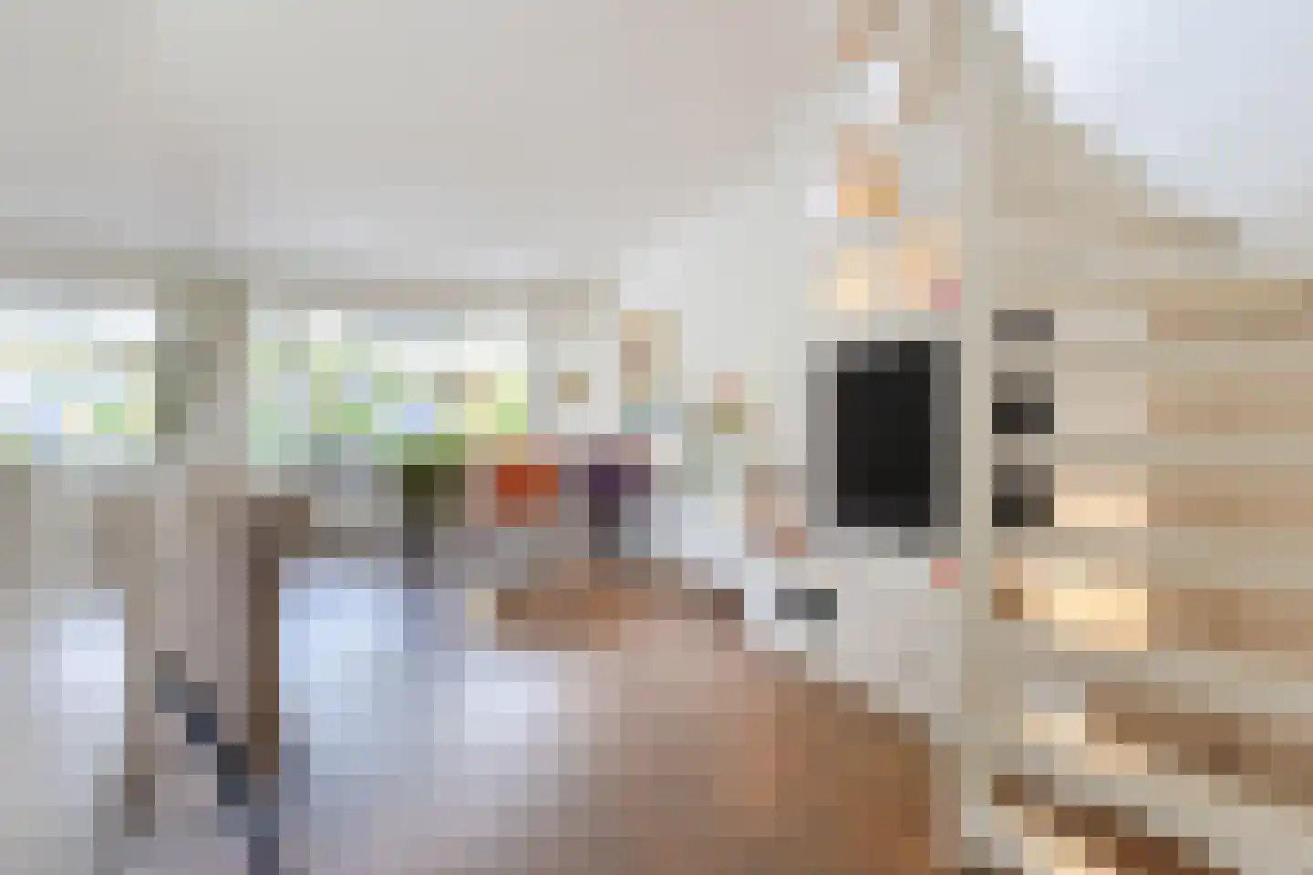 Rietganssingel 12 Velp thumbnail 17