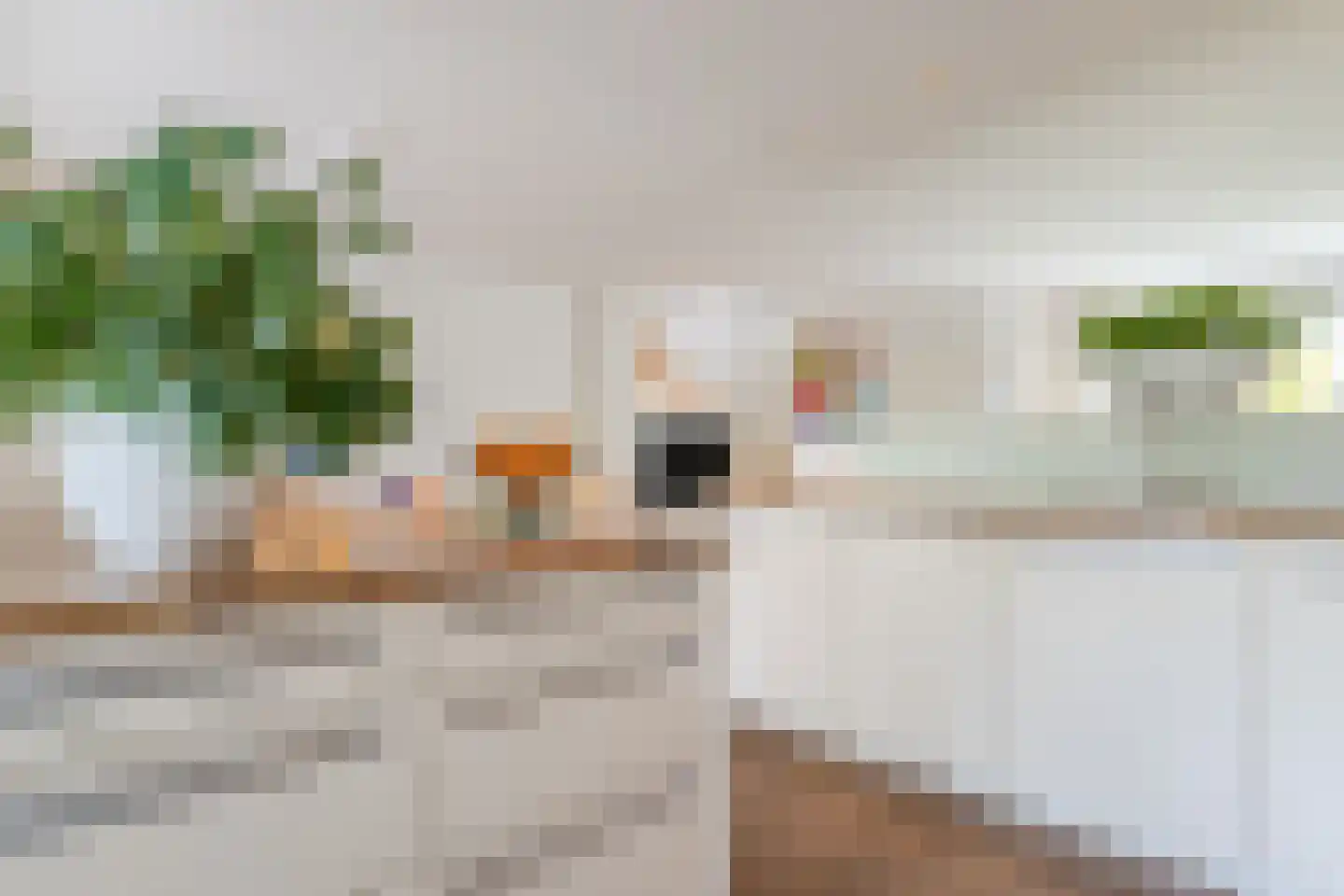 Rietganssingel 12 Velp thumbnail 27