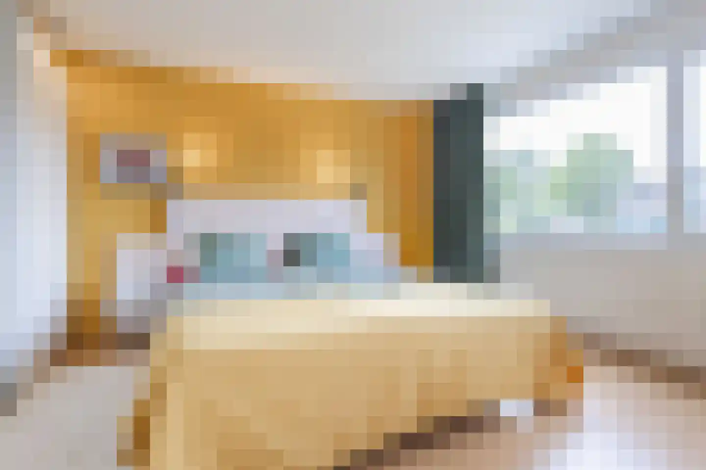Rietganssingel 12 Velp thumbnail 35