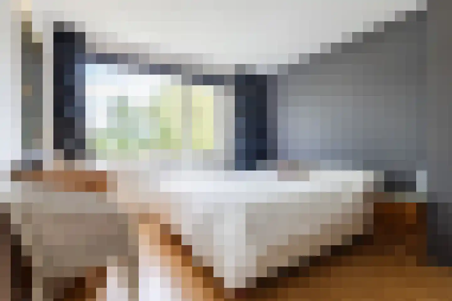 Rietganssingel 12 Velp thumbnail 41