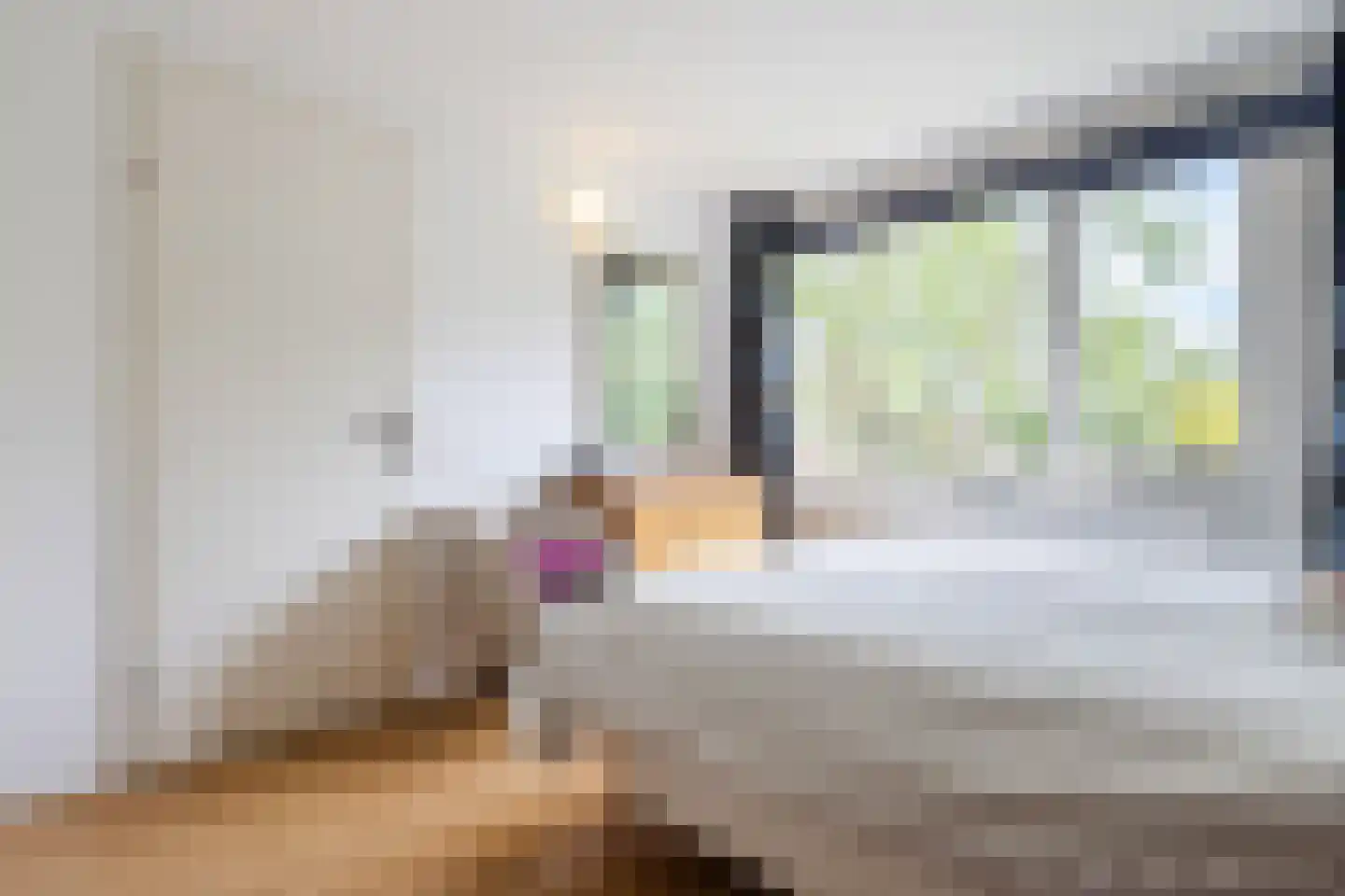 Rietganssingel 12 Velp thumbnail 42