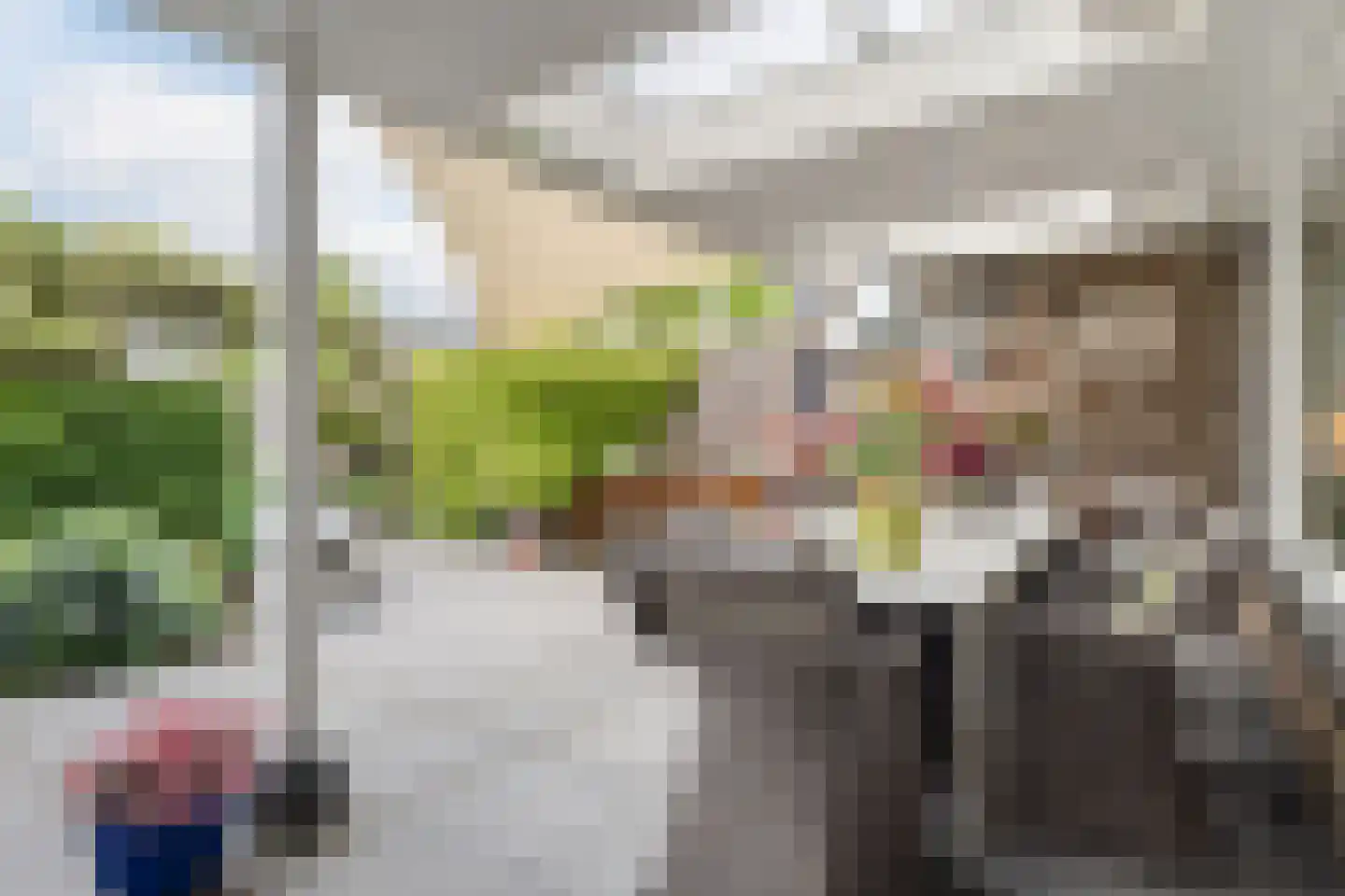 Rietganssingel 12 Velp thumbnail 54