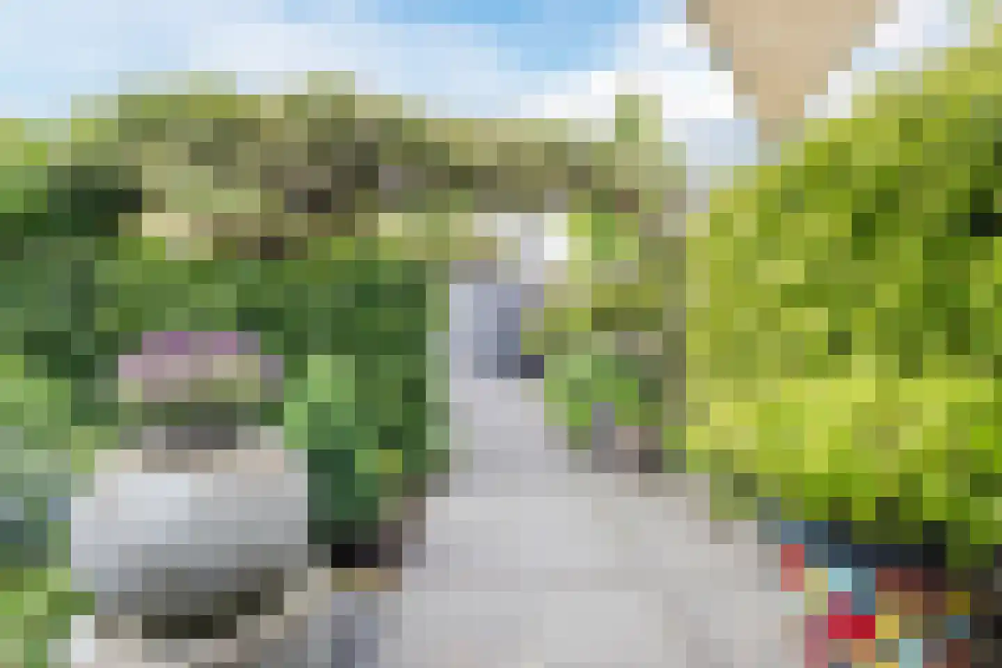 Rietganssingel 12 Velp thumbnail 58
