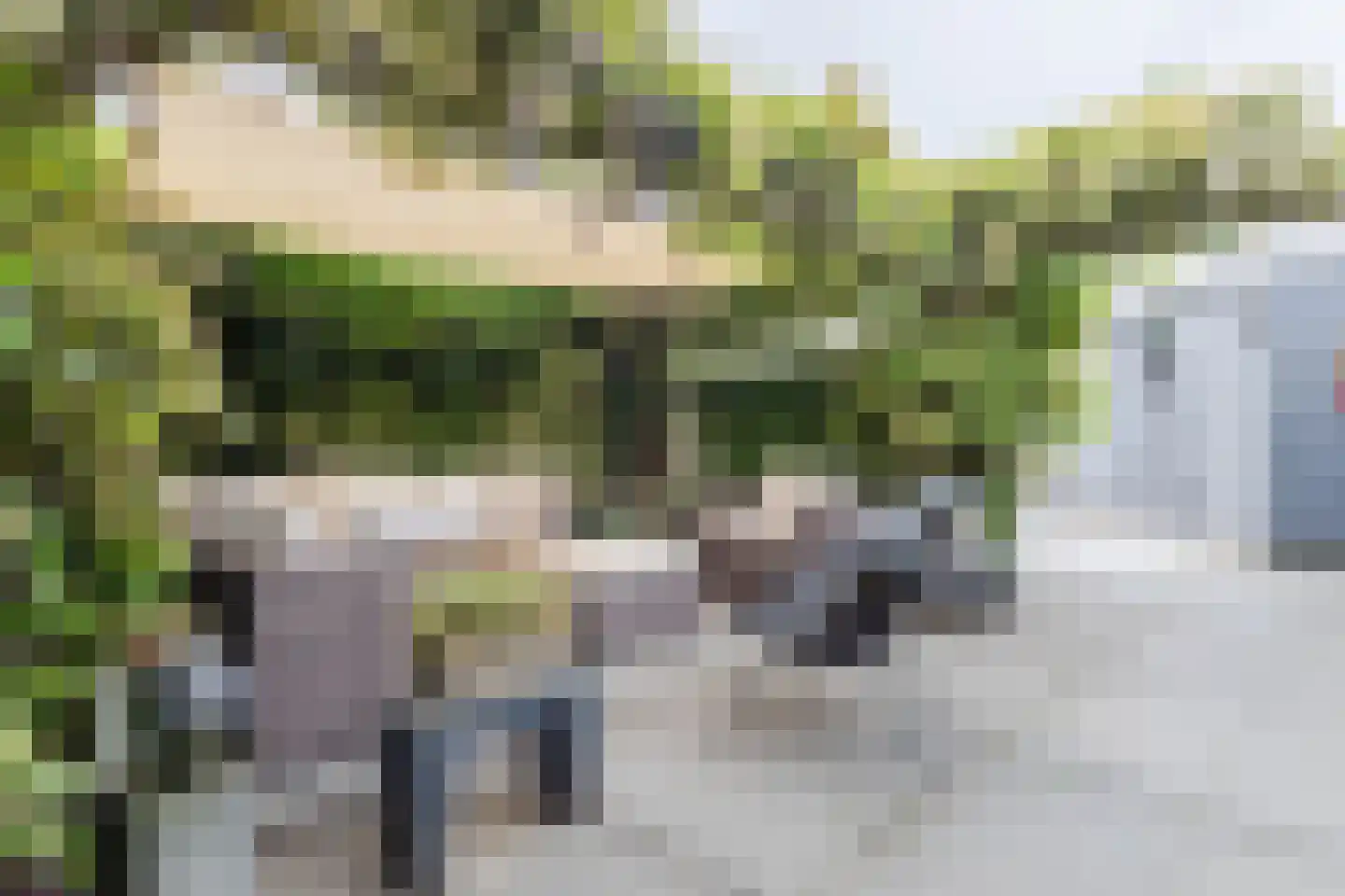 Rietganssingel 12 Velp thumbnail 59