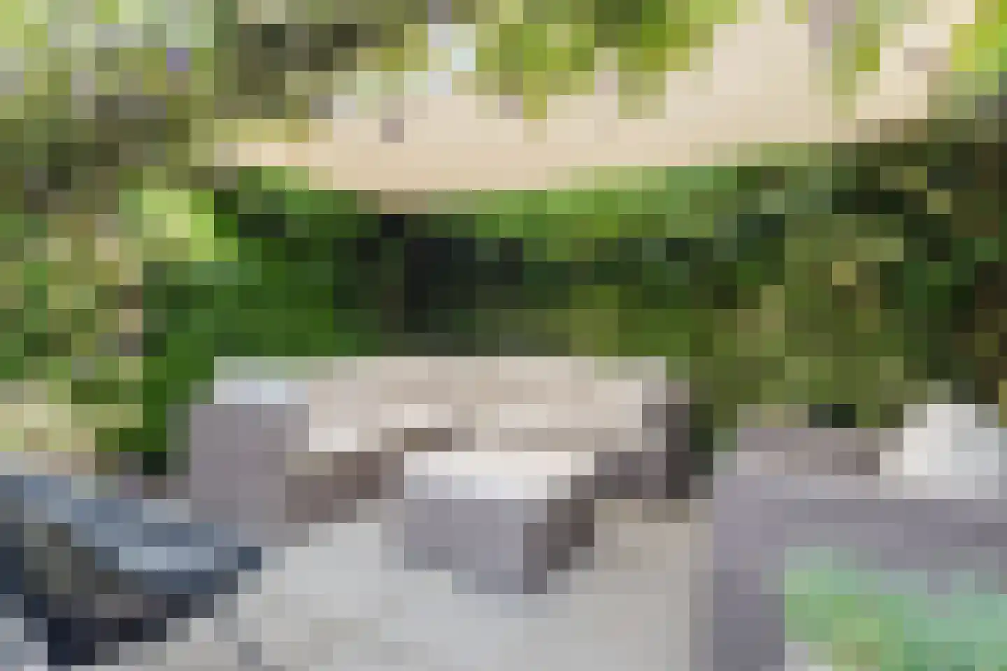 Rietganssingel 12 Velp thumbnail 60