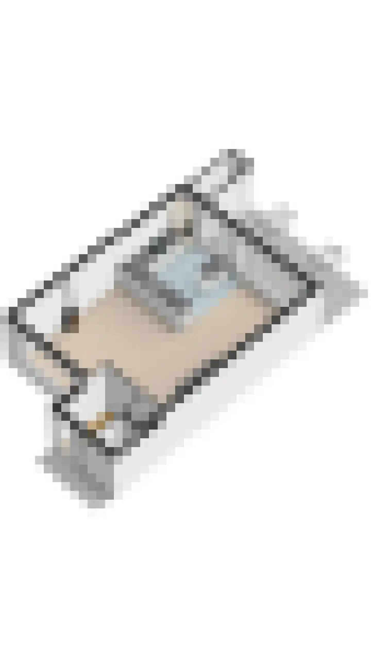 Rietganssingel 12 Velp thumbnail 70