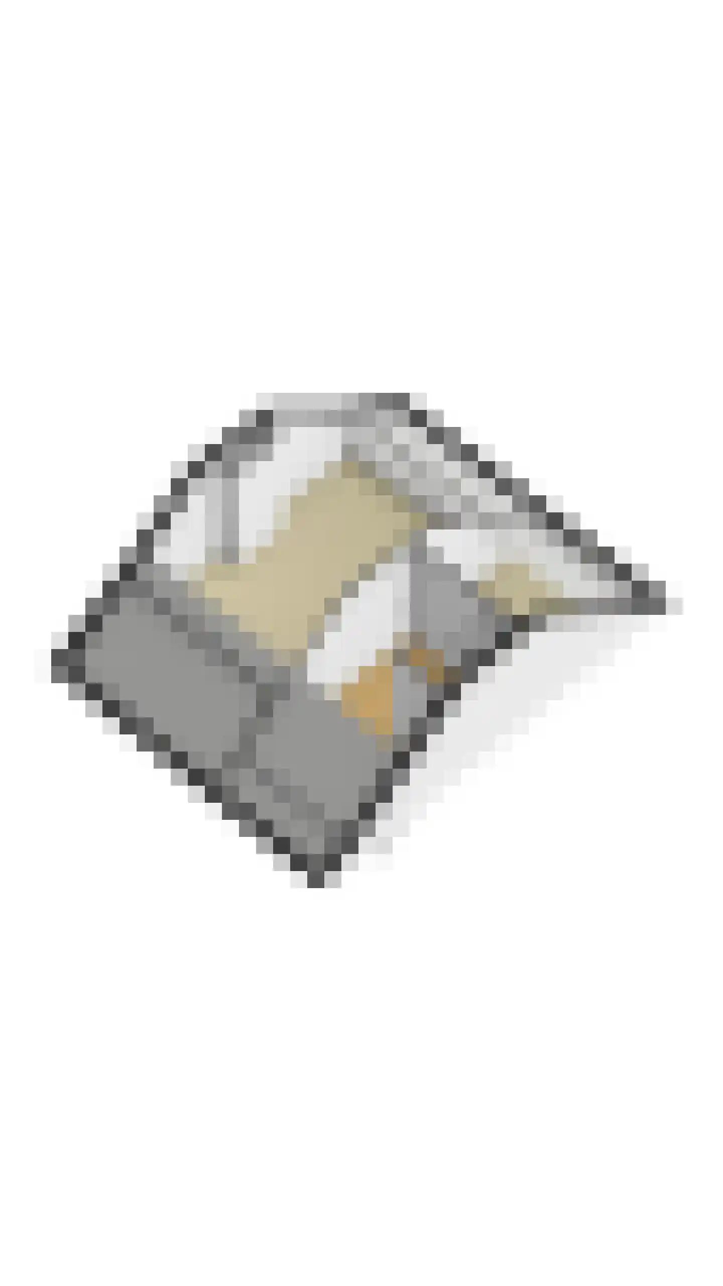 Rietganssingel 12 Velp thumbnail 76