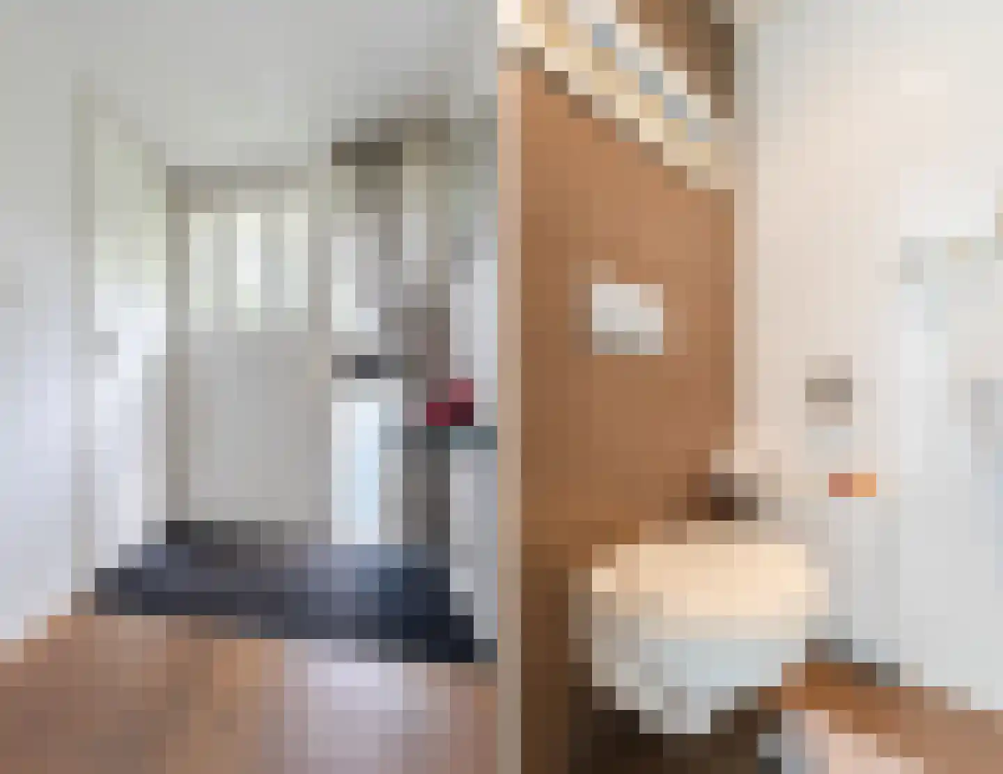 Rietganssingel 12 Velp thumbnail 9