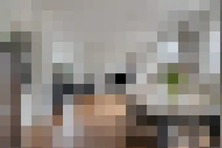 Rietganssingel 4 Velp thumbnail 10