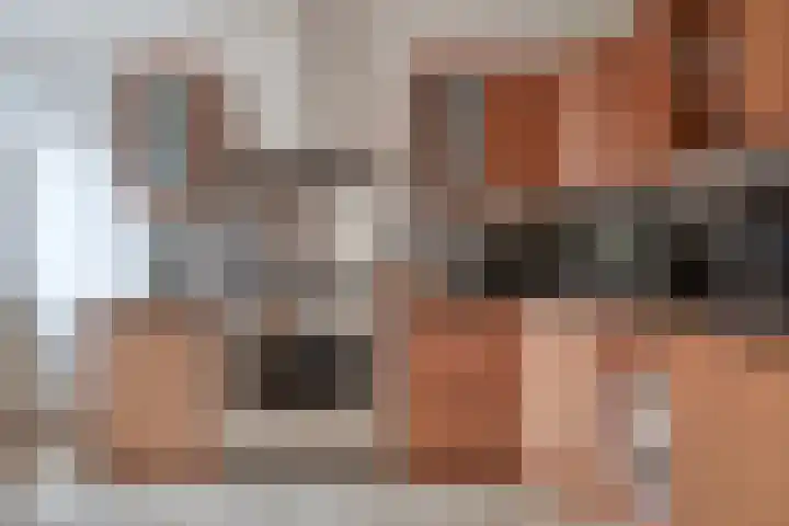 Rietganssingel 4 Velp thumbnail 11