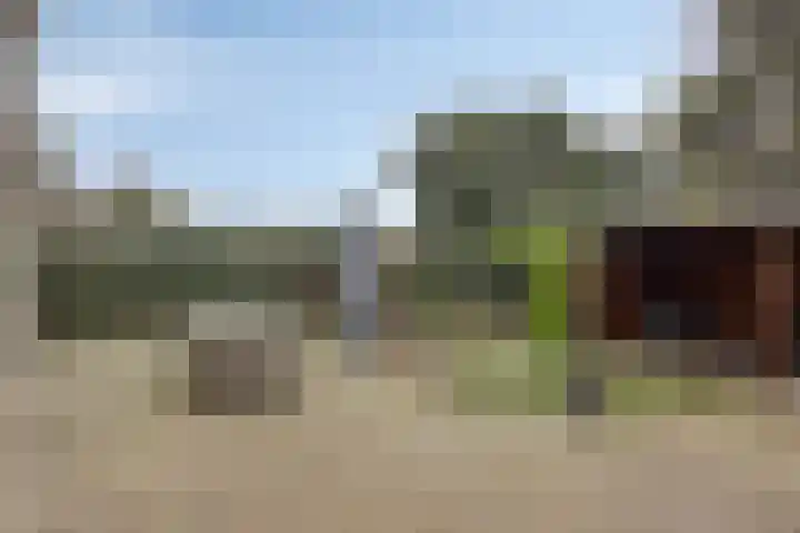 Rietganssingel 4 Velp thumbnail 15