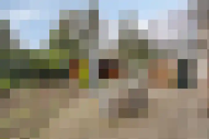 Rietganssingel 4 Velp thumbnail 16
