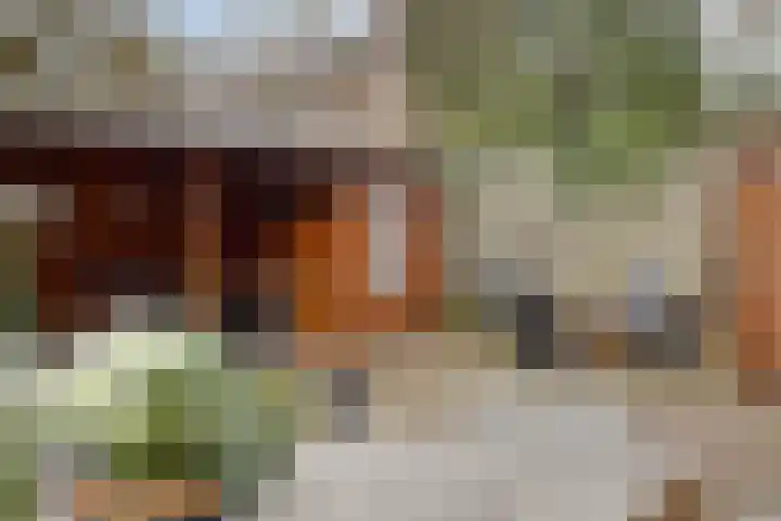 Rietganssingel 4 Velp thumbnail 17