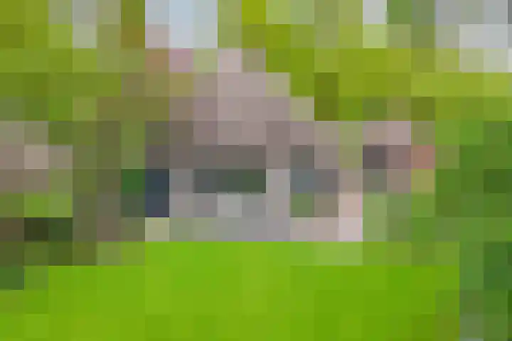 Rietganssingel 4 Velp thumbnail 19