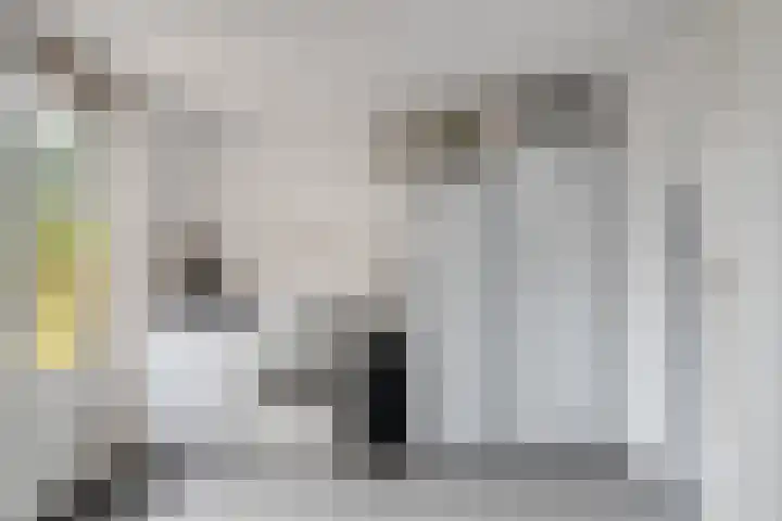 Rietganssingel 4 Velp thumbnail 21