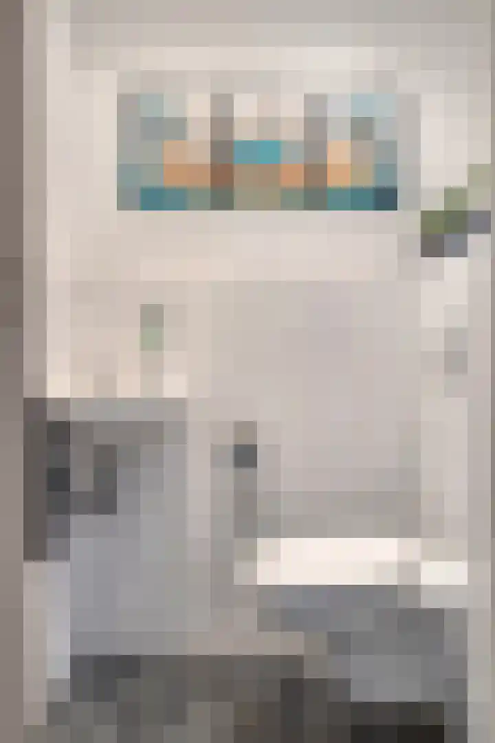 Rietganssingel 4 Velp thumbnail 22