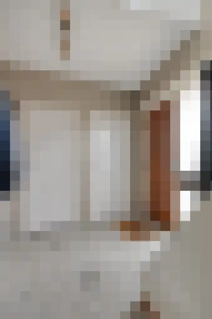 Rietganssingel 4 Velp thumbnail 23