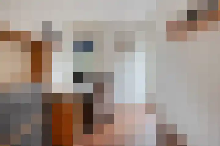 Rietganssingel 4 Velp thumbnail 33