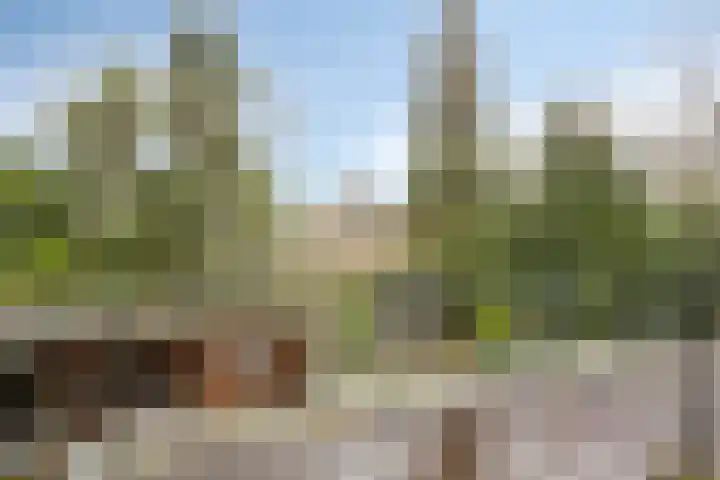 Rietganssingel 4 Velp thumbnail 35