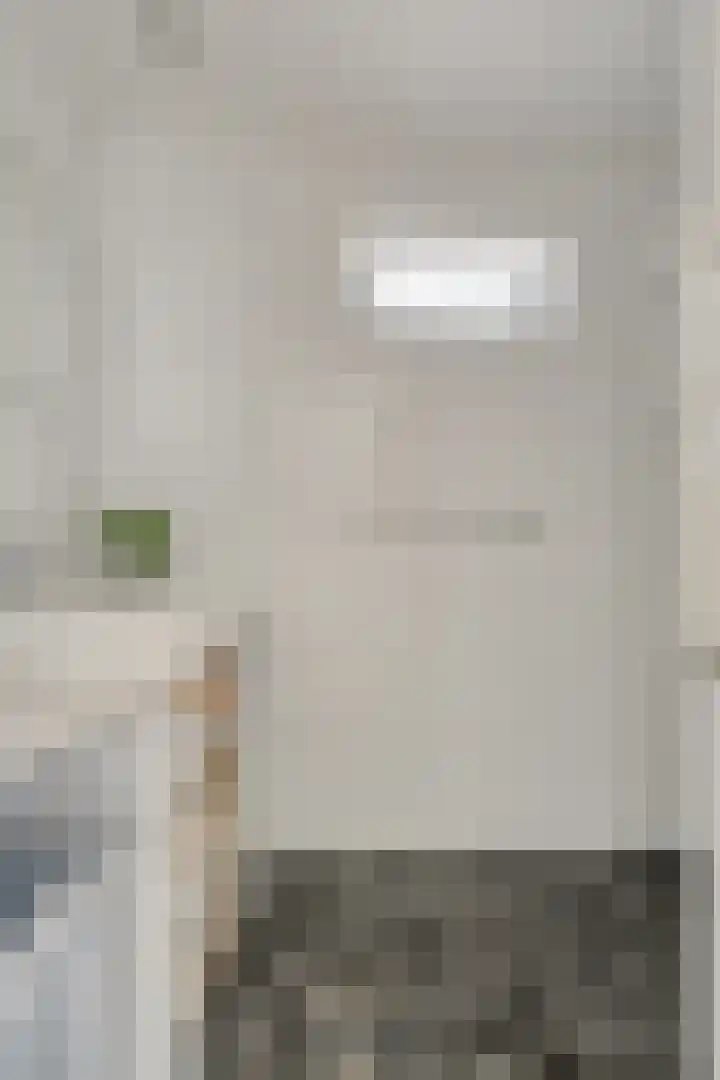 Rietganssingel 4 Velp thumbnail 37