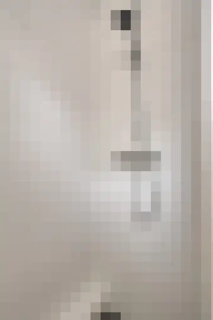Rietganssingel 4 Velp thumbnail 38