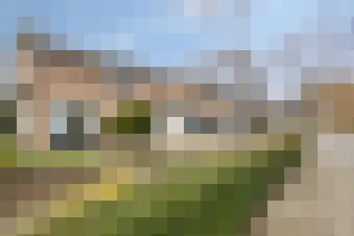 Rietganssingel 4 Velp thumbnail 47