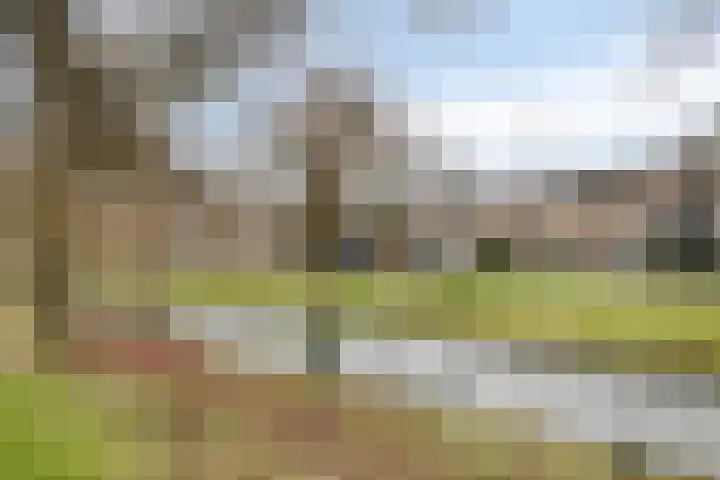 Rietganssingel 4 Velp thumbnail 49