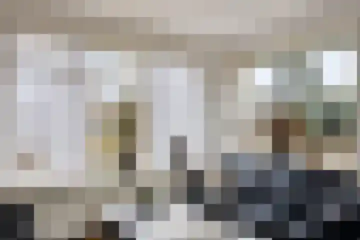 Rietganssingel 4 Velp thumbnail 5