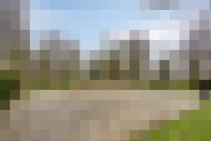 Rietganssingel 4 Velp thumbnail 50