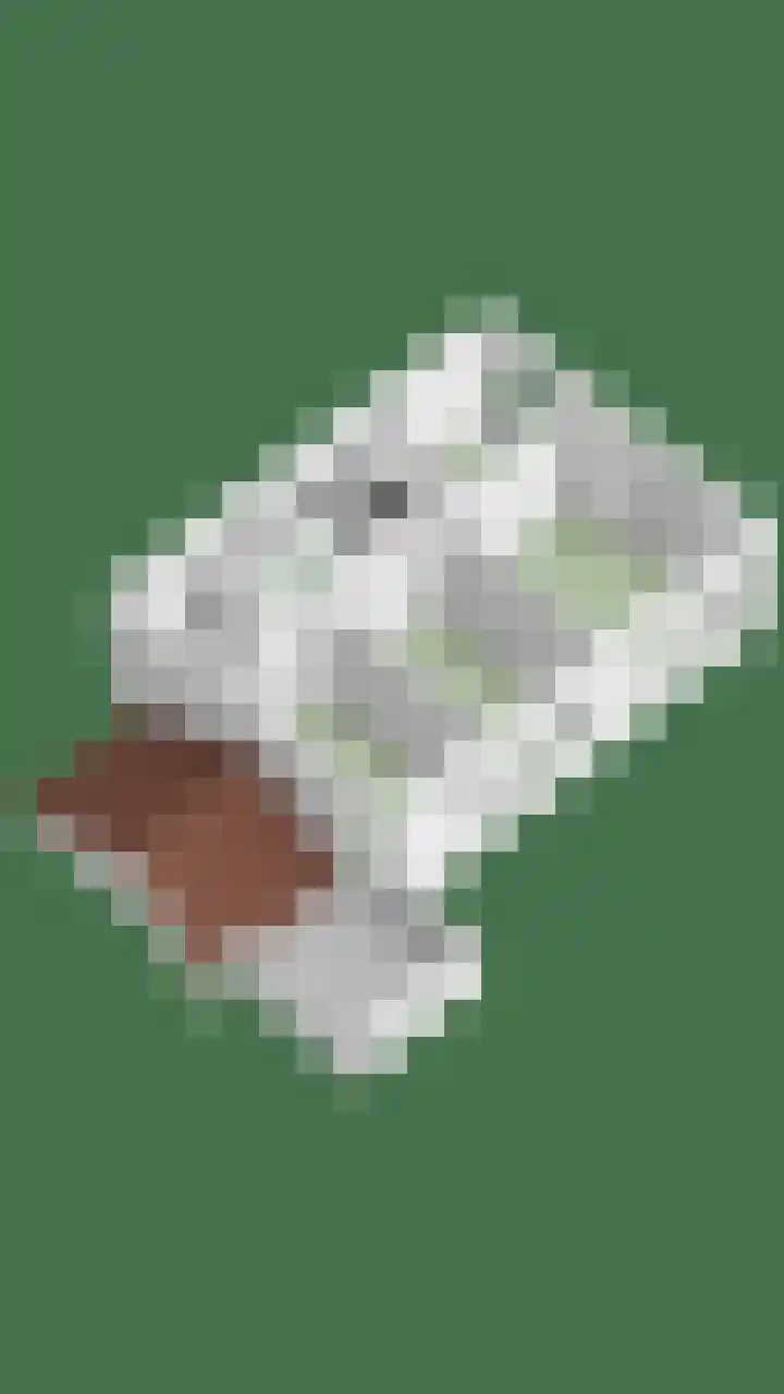 Rietganssingel 4 Velp thumbnail 54
