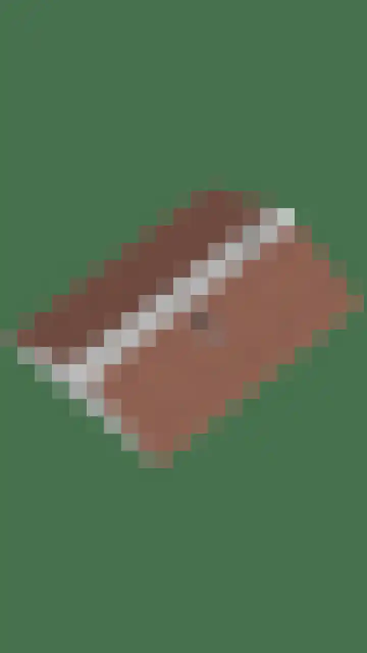 Rietganssingel 4 Velp thumbnail 55