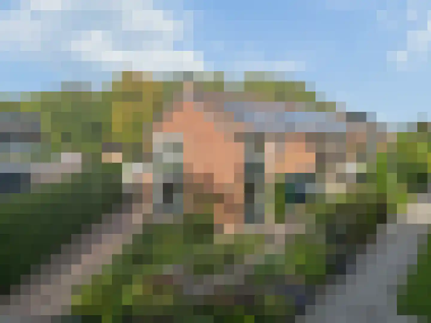 Rietganssingel 45 Velp
