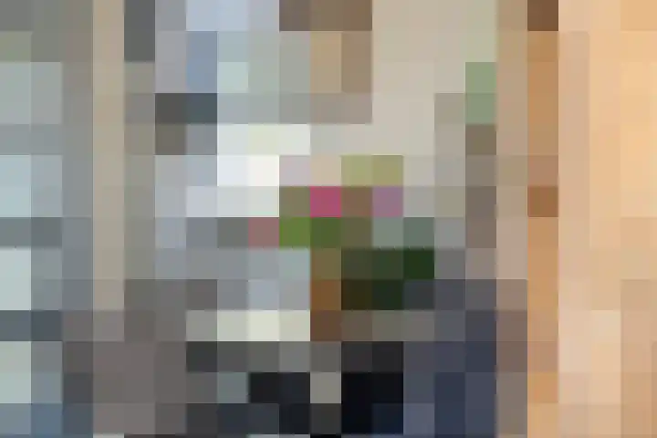 Rietgansstraat 11 Strijen thumbnail 12