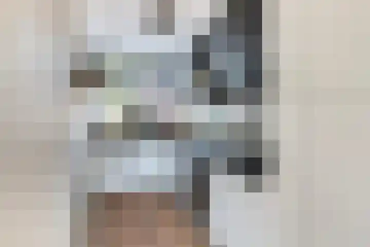 Rietgansstraat 11 Strijen thumbnail 13