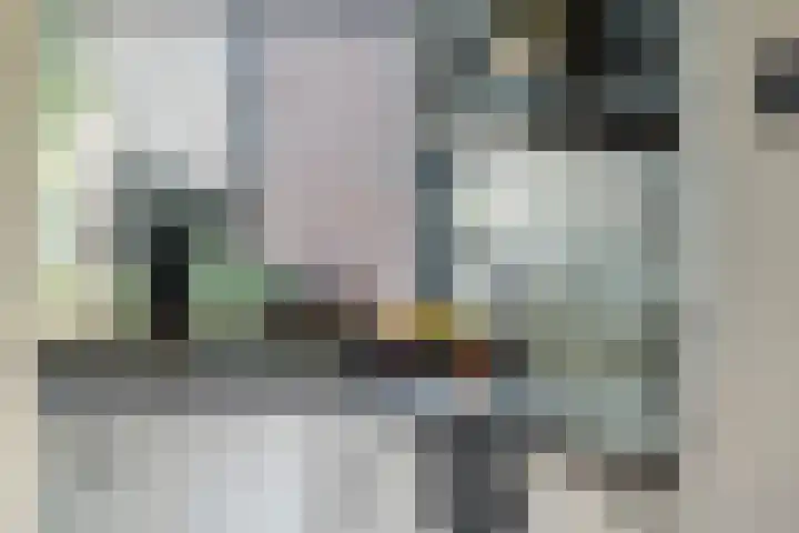 Rietgansstraat 11 Strijen thumbnail 14