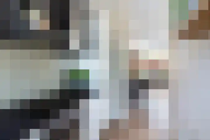 Rietgansstraat 11 Strijen thumbnail 15