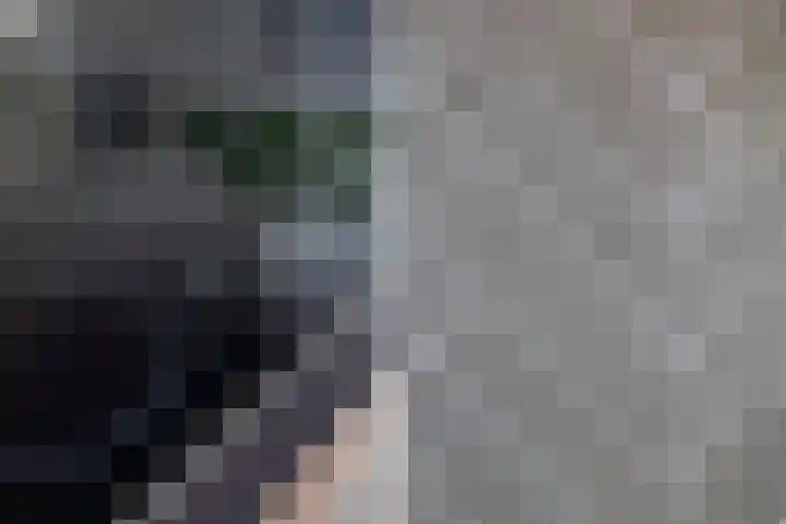 Rietgansstraat 11 Strijen thumbnail 16